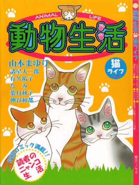 猫ライフ